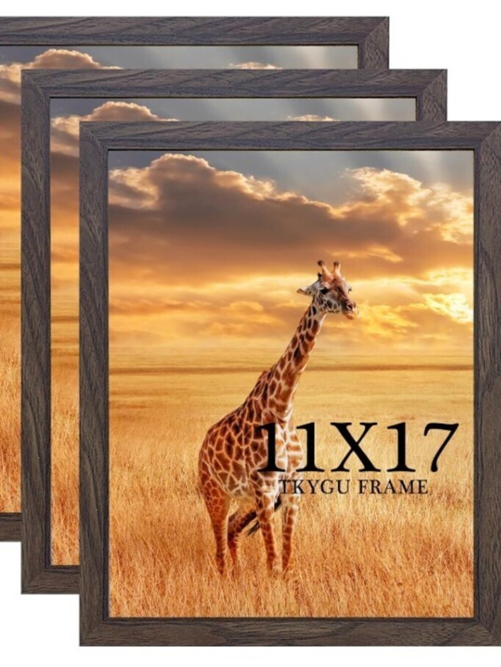 3 PACK 11X17 WALL FRAMES-WALNUT